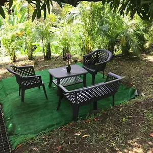 Coconut , Capesterre-Belle-Eau Guadeloupe
