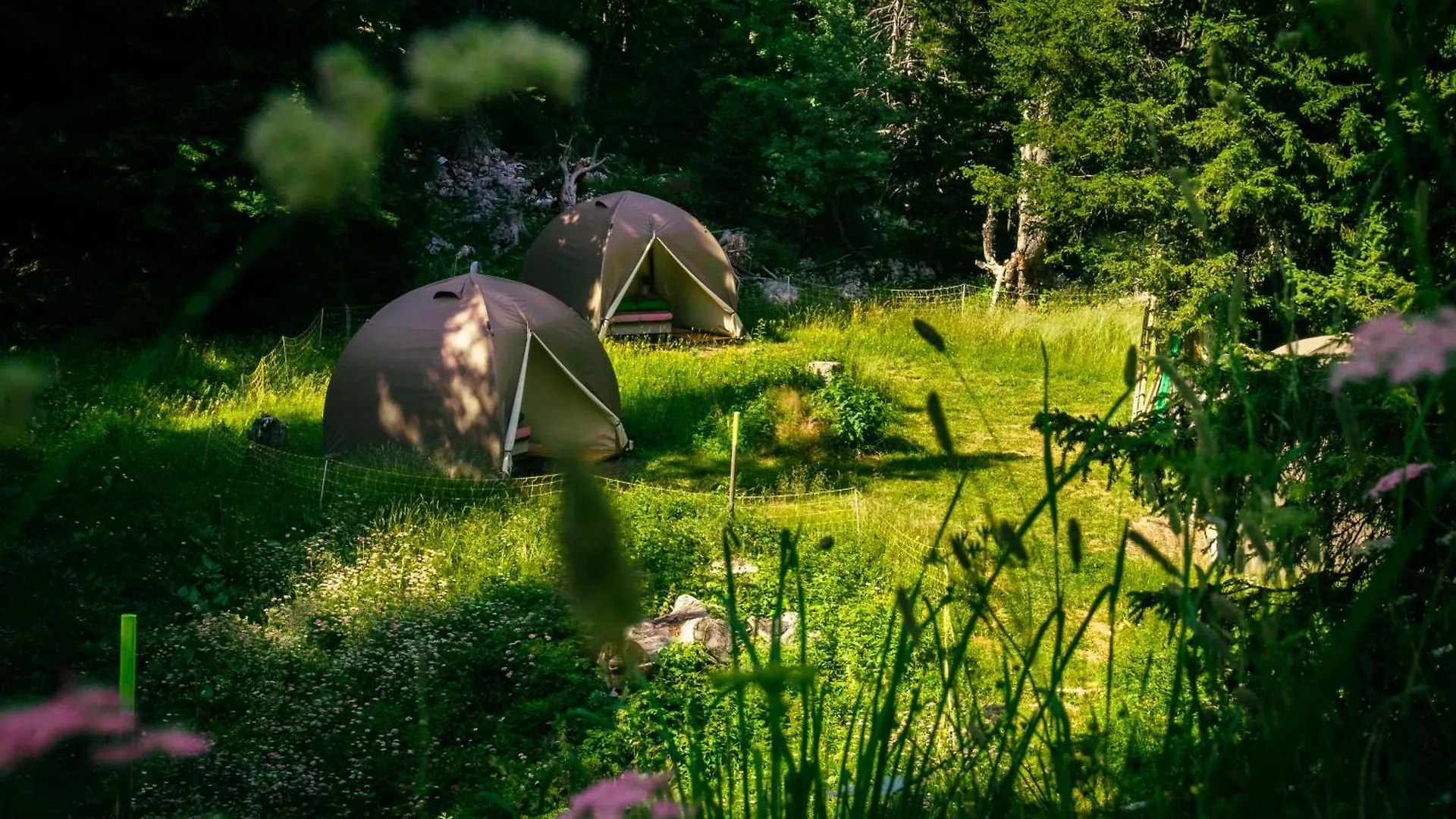 Eco Bivouac Village Igloos Annecy - Le Semnoz - A 20 Minutes D'Annecy 0*,