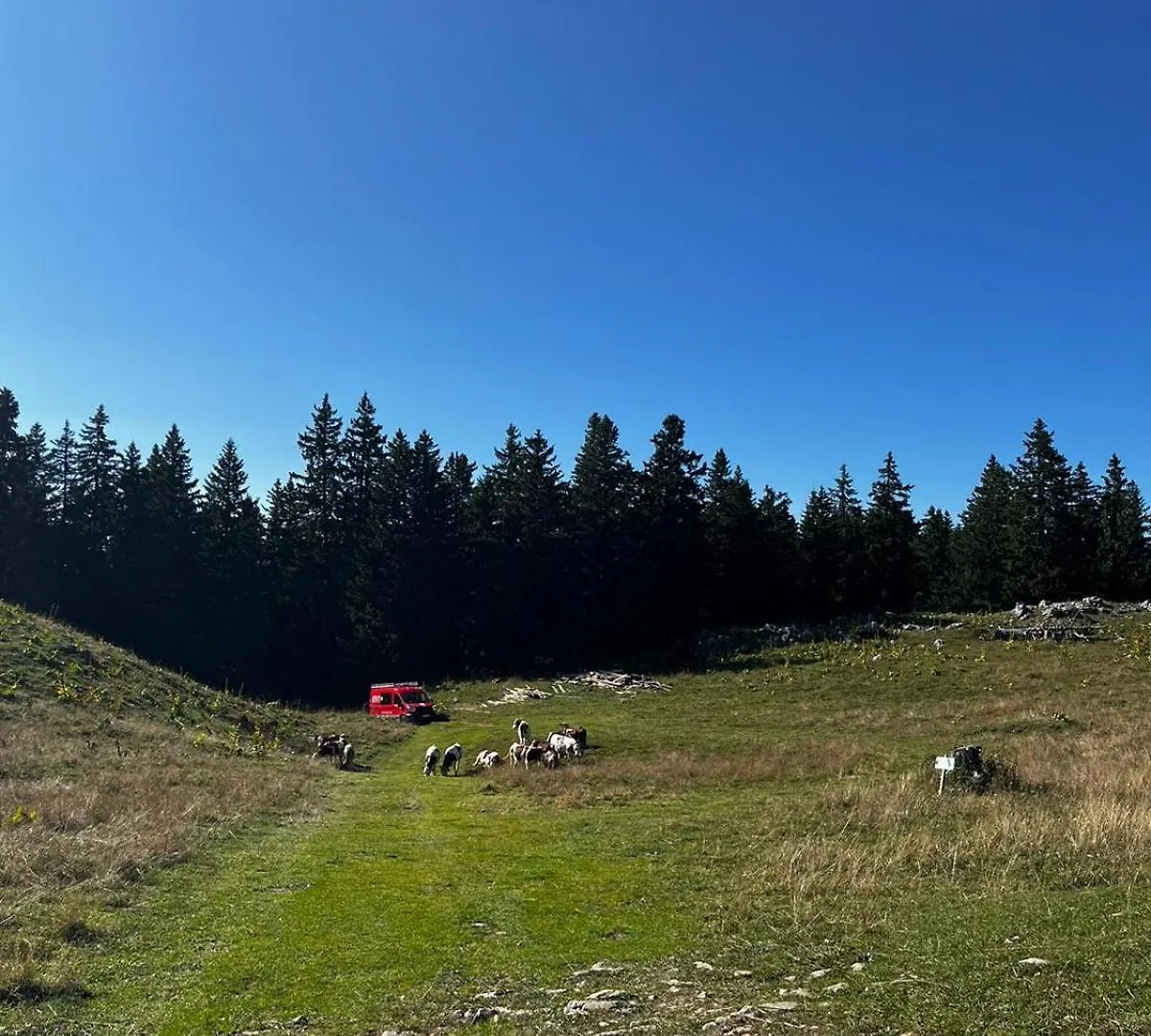 Eco Bivouac Village Igloos Annecy - Le Semnoz - A 20 Minutes D'Annecy